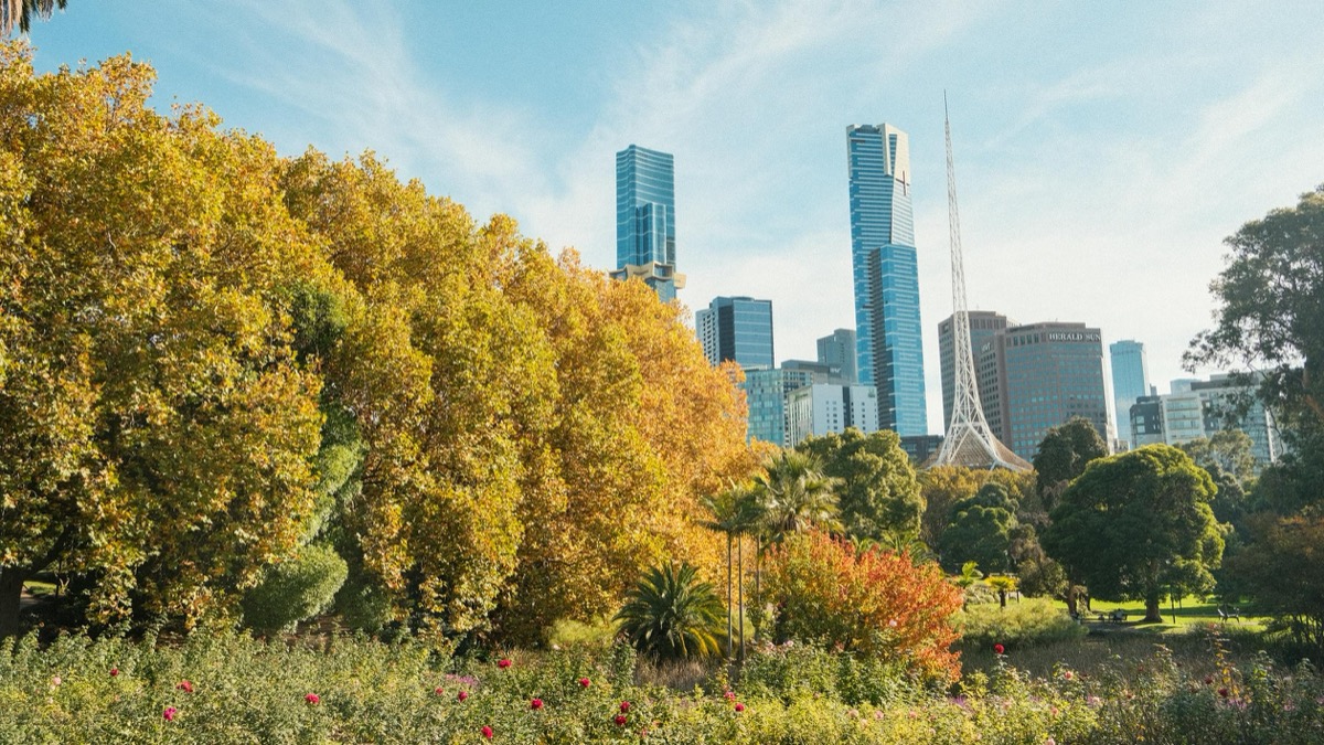Autumn colors in Queen Victoria Gardens with Melbourne skyline