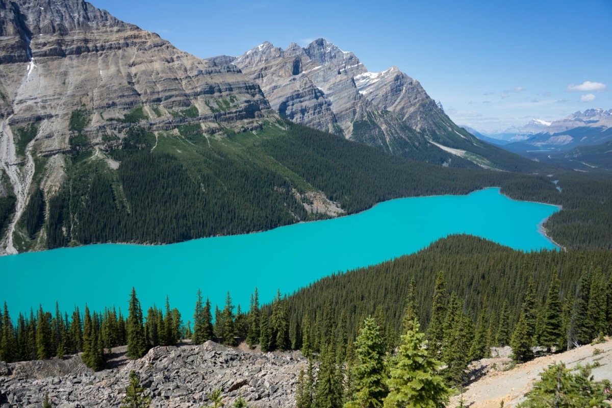 Peyto Lake turquoise glacier water, Banff Canada
