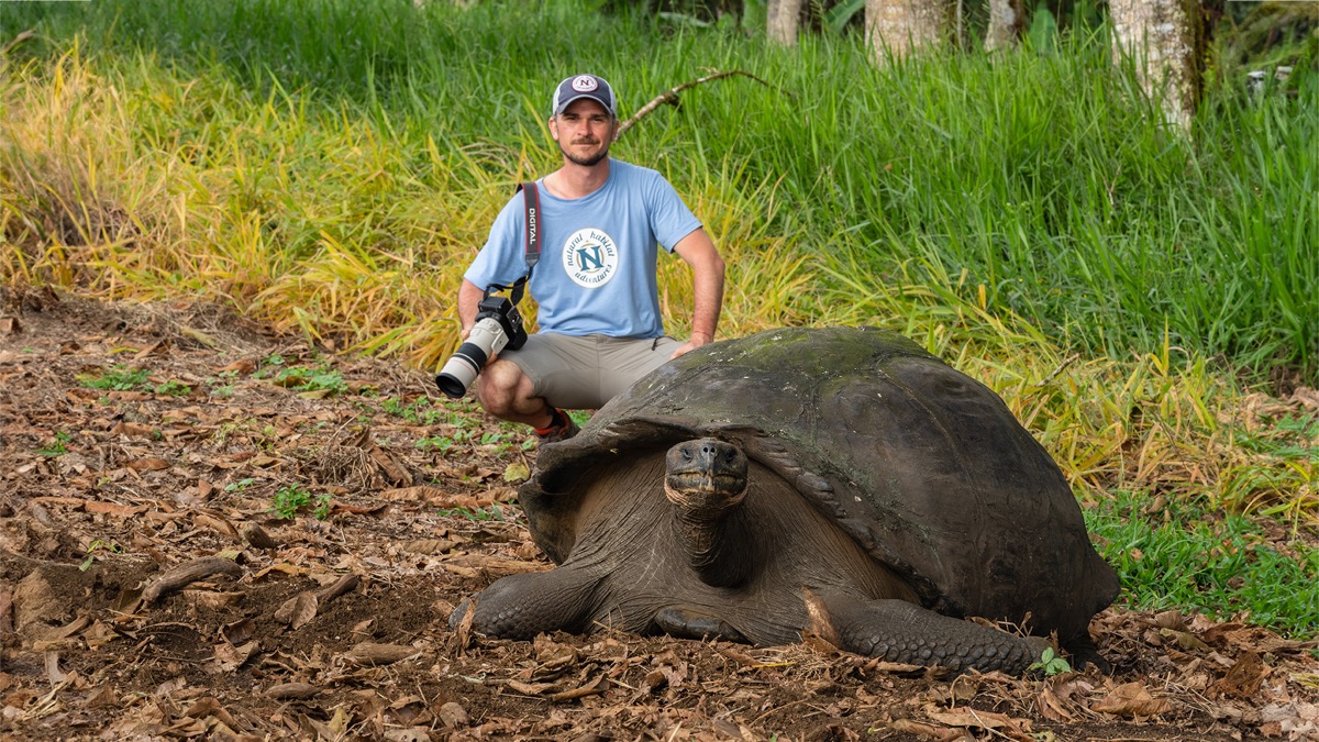 Giant tortoise on the Galápagos Islands, Ecuador
