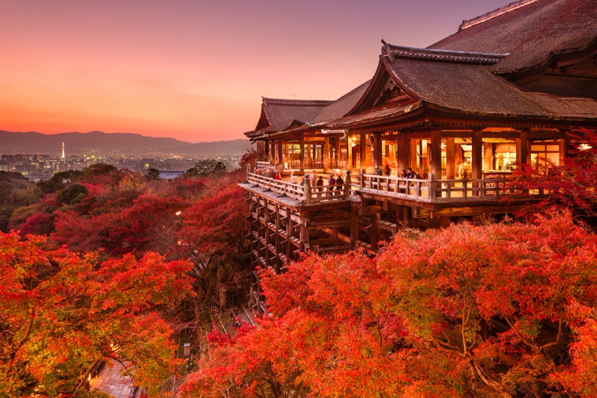 Kyoto temple surrounded by autumn foliage, Japan