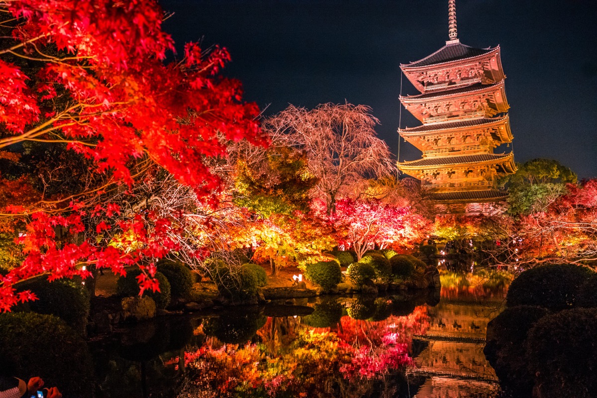 Kyoto temples with autumn maple foliage, Japan