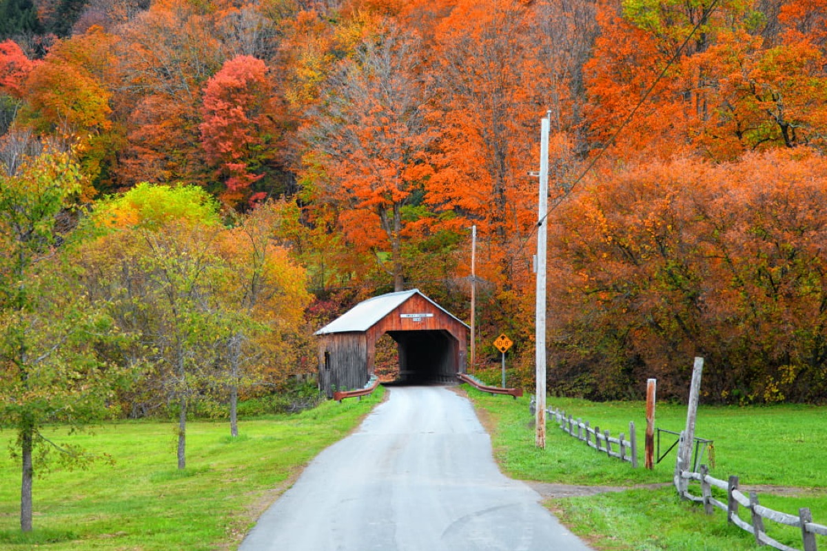 Vermont fall foliage and covered bridge in peak autumn