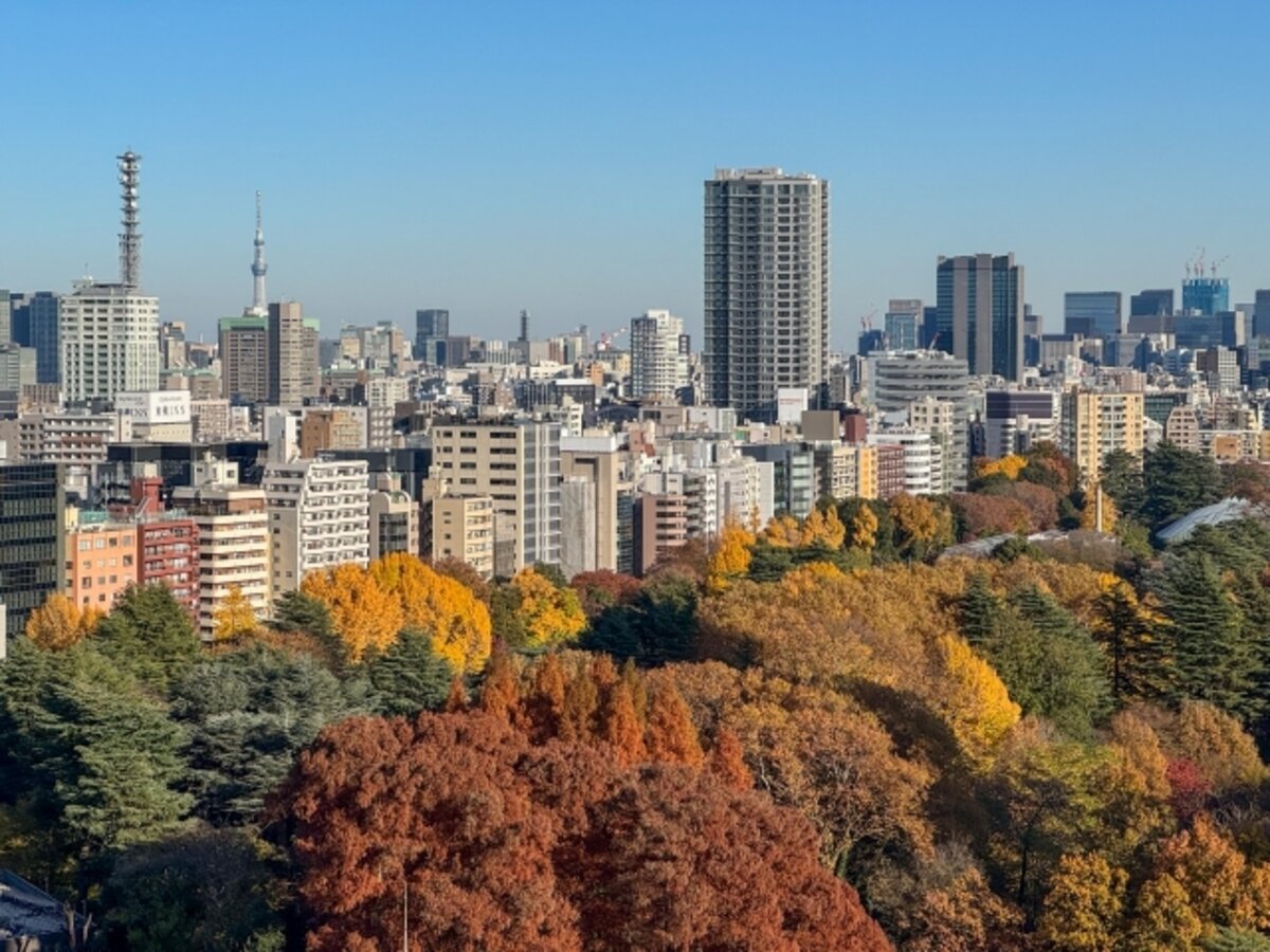 Tokyo cityscape in early autumn, Japan