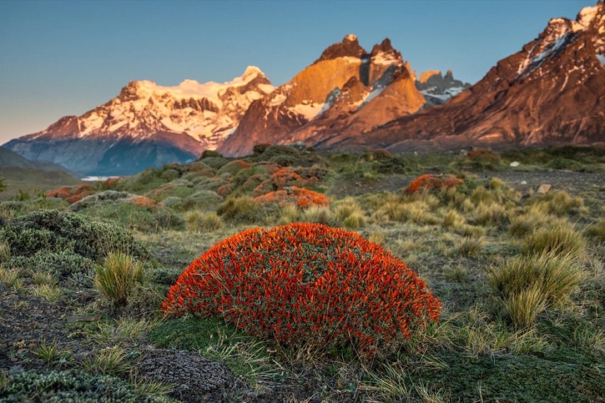 Torres del Paine in spring, Patagonia