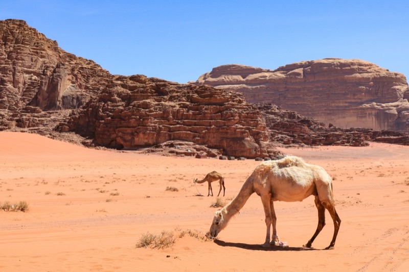 Jordan — ️ Nature & Scenery
