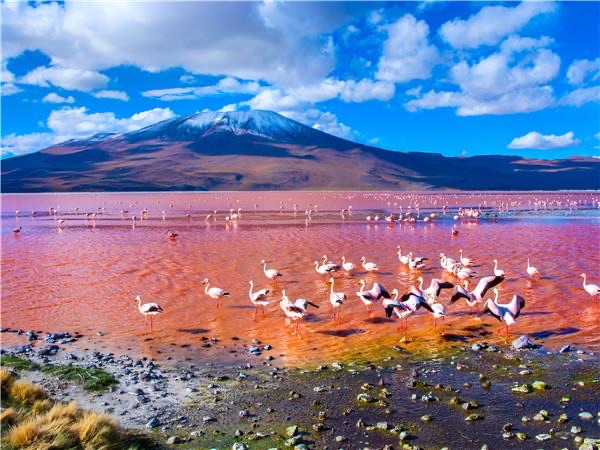 Bolivia — ️ Natural Landscapes