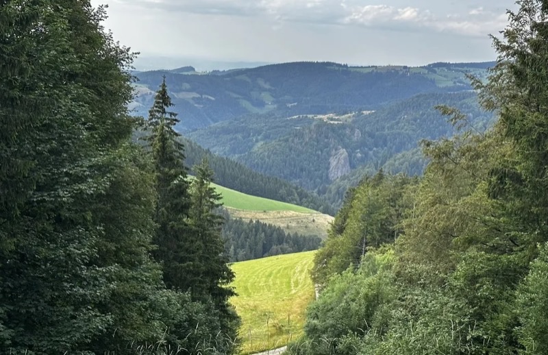 Germany — ️ Nature & Outdoors