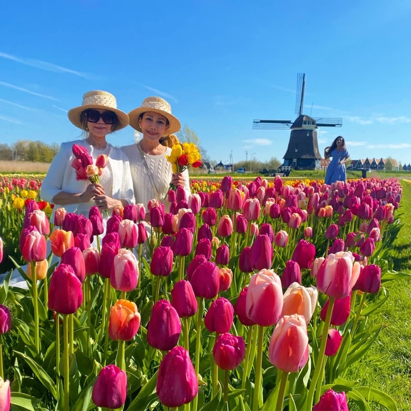 Netherlands — ️ Nature and Landscapes