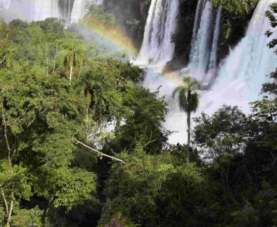 Argentina — ️ Nature &amp; Wildlife