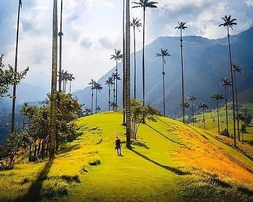 Armenia — ️ Food &amp; Drink