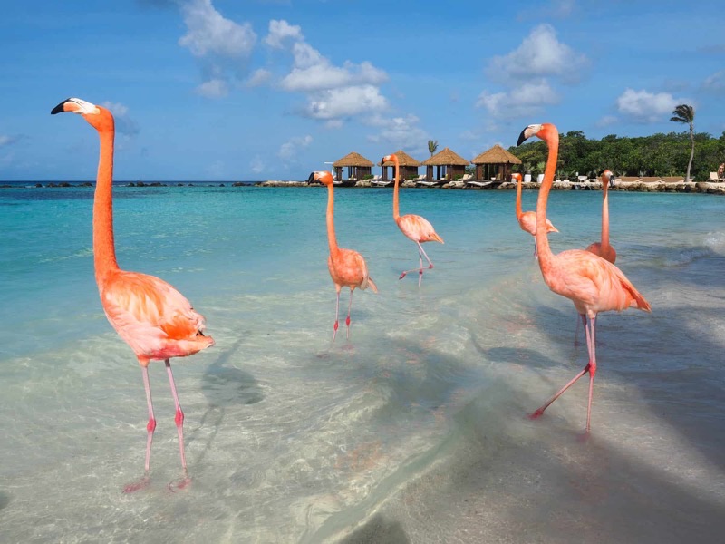 Aruba travel destination