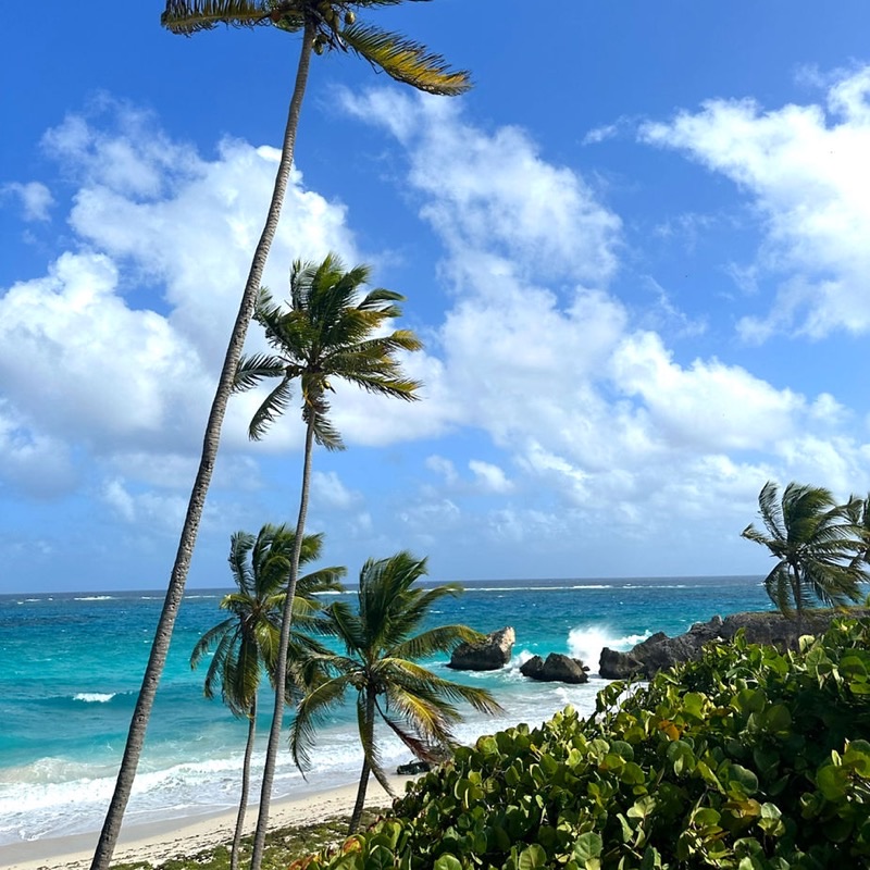 Barbados — Costs &amp; Budget