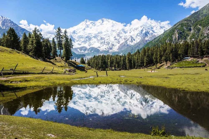 India — ️ Nature & Landscapes