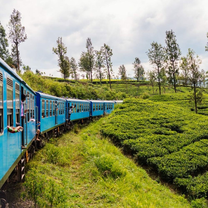 India — ️ Getting There & Around