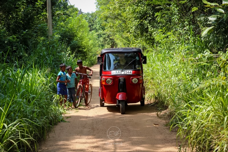 Sri Lanka — Getting Around