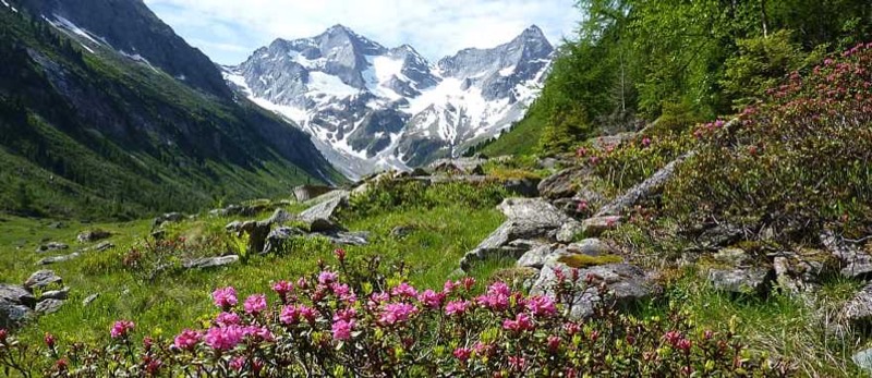 Austria — ️ Culture &amp; History