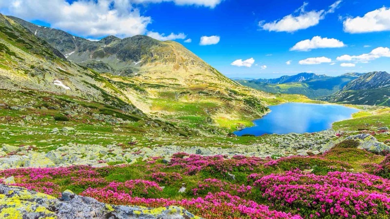 Romania — ️ Nature & Outdoors