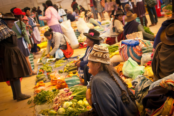 Bolivia — Costs &amp; Budget