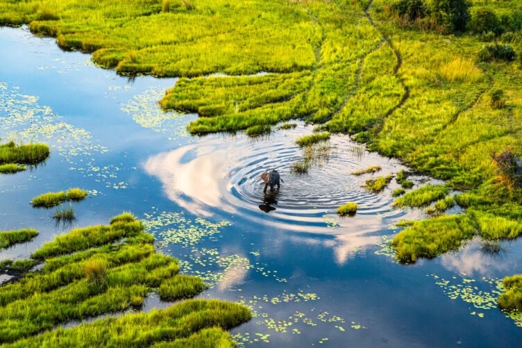 Botswana travel destination