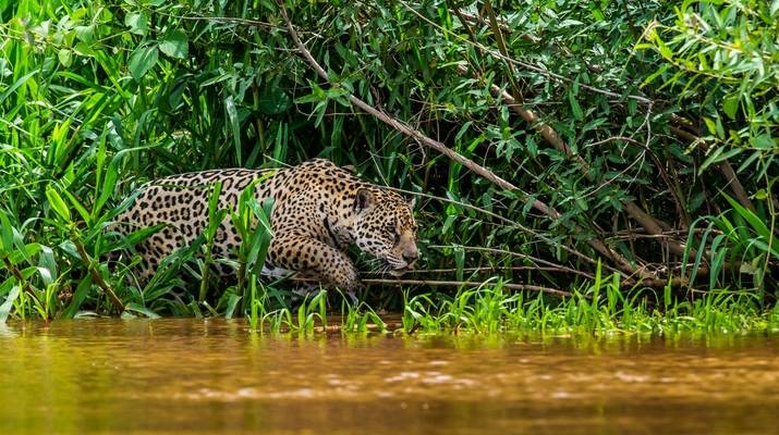 Brazil — Nature & Outdoors