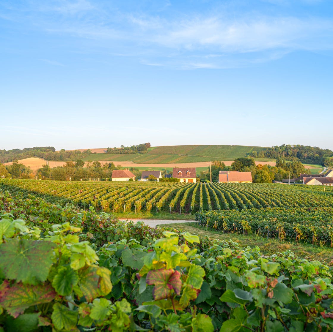 Champagne travel destination