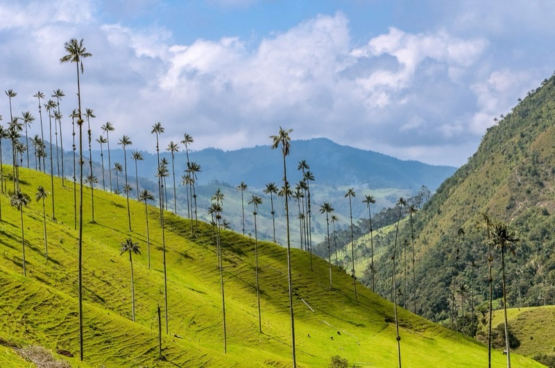 Colombia — ️ Natural Landscapes