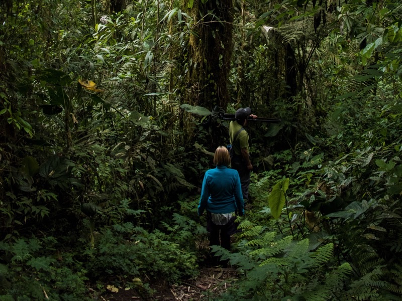 Ecuador — ️ Nature &amp; Outdoors