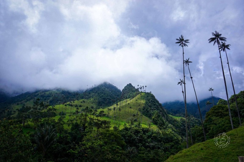 Colombia — ️ Nature &amp; Landscapes