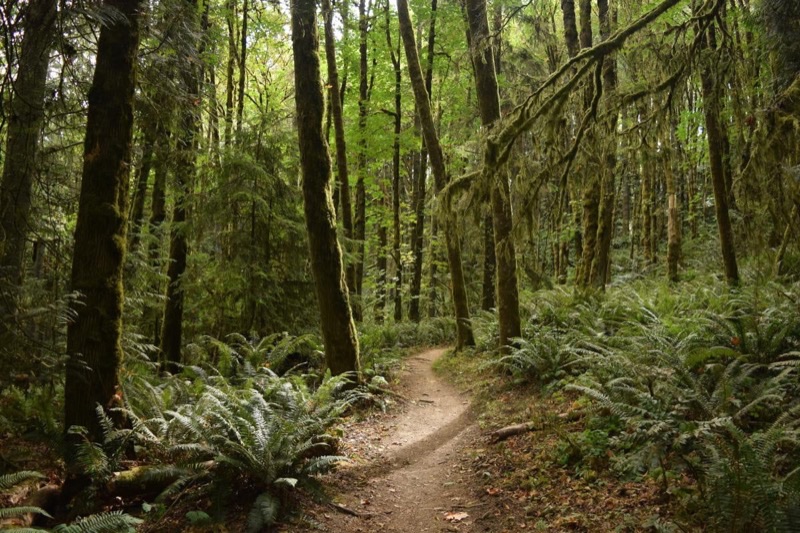 Portland — ️ Nature & Outdoors