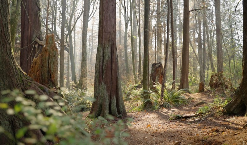 Vancouver — ️ Nature &amp; Outdoors