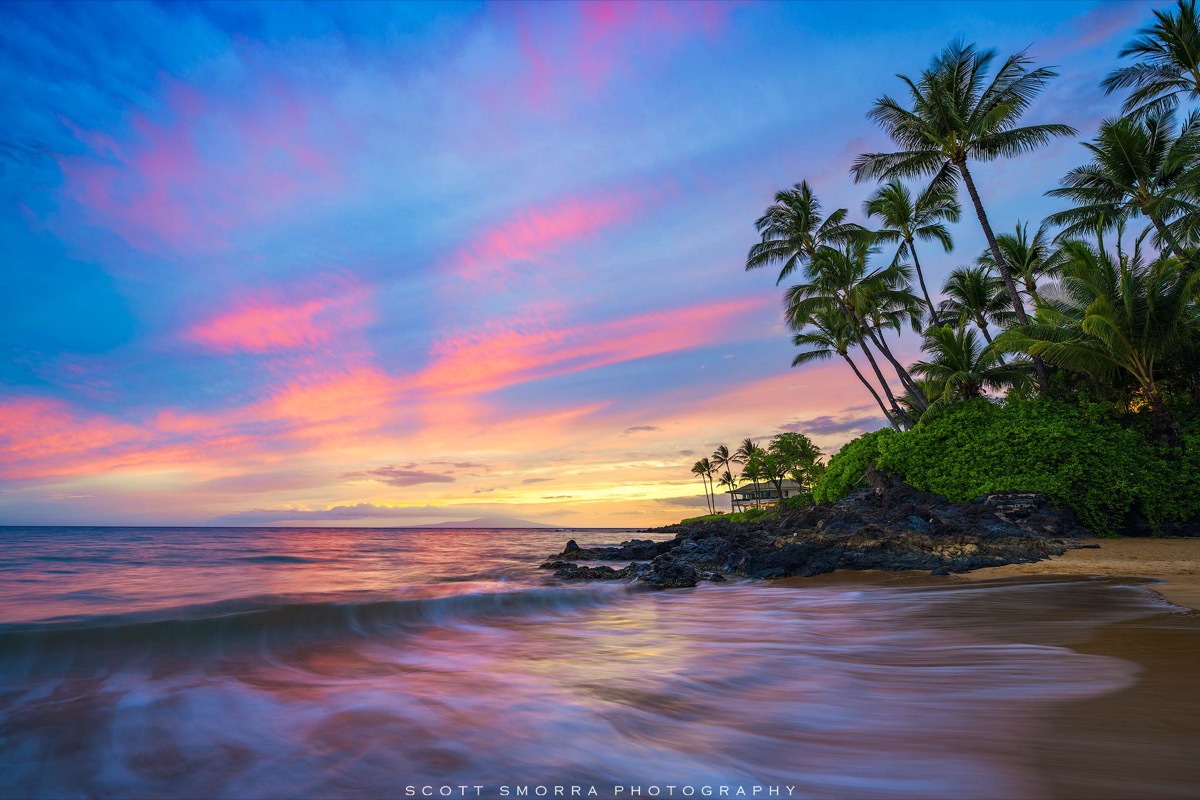 Sunset through palm trees on a Maui beach with golden light reflecting on waves