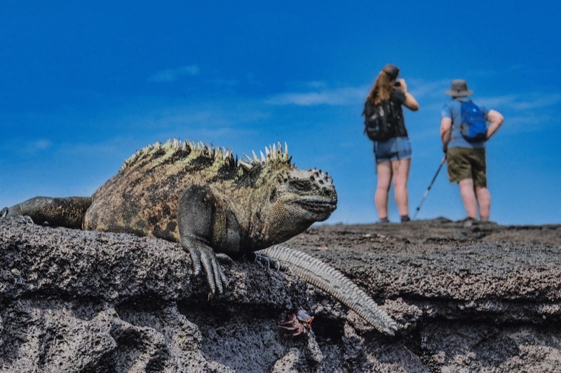 Ecuador — ️ Nature &amp; Outdoors