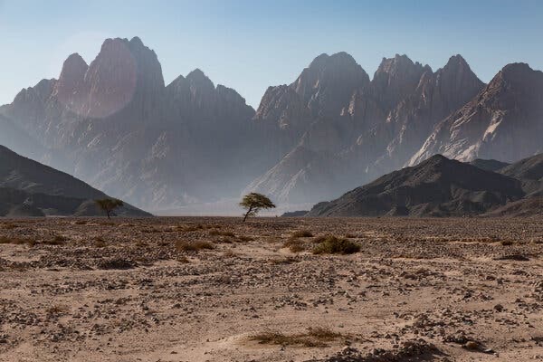 Egypt — Food &amp; Drink