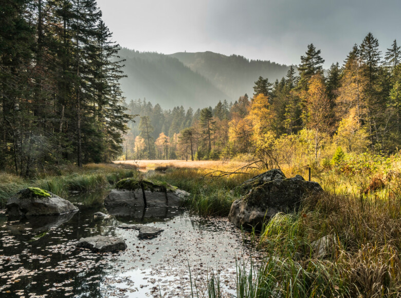 Germany — ️ Nature & Outdoors