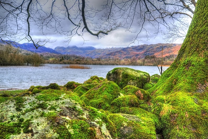 England — ️ Nature & Scenery