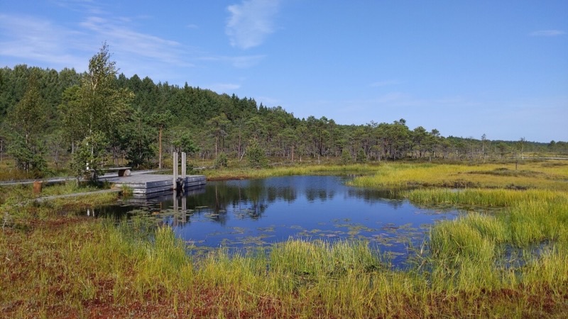 Estonia — Nature &amp; Outdoors