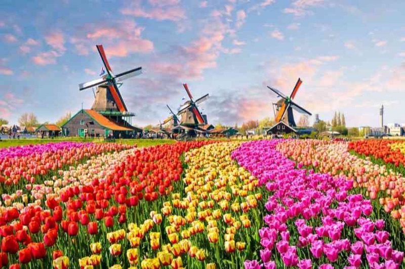 Netherlands travel destination