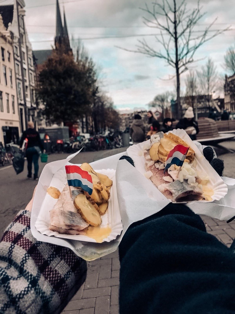 Netherlands — Costs & Budget