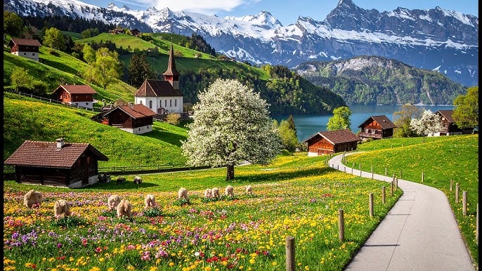 Switzerland — ️ City Exploration &amp; Culture