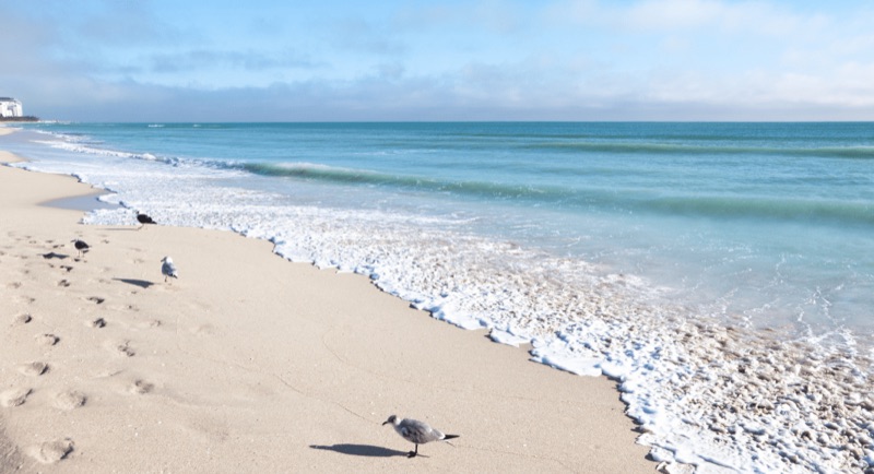 Florida — ️ Beaches &amp; Water Activities