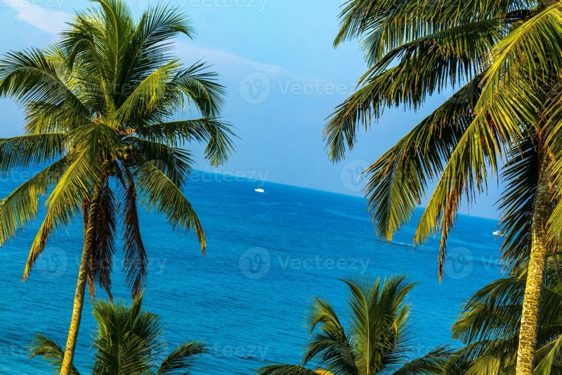Mirissa beach Sri Lanka — turquoise Indian Ocean waters with tropical palm trees on the sand