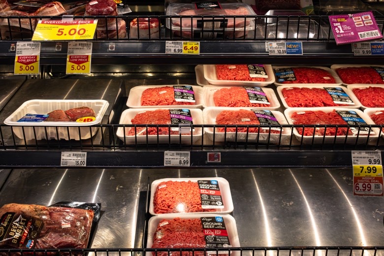 Georgia — Costs & Budget