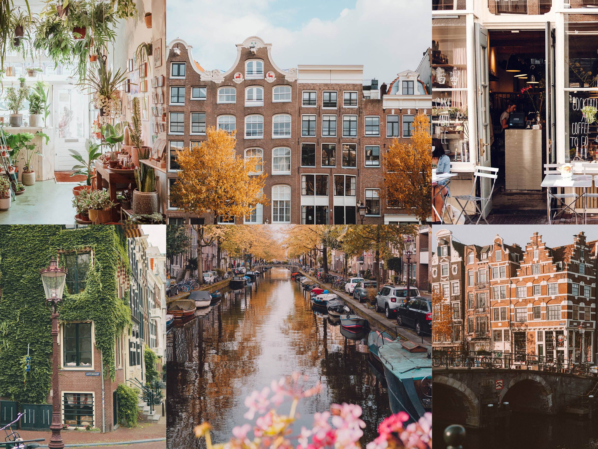 Amsterdam travel destination