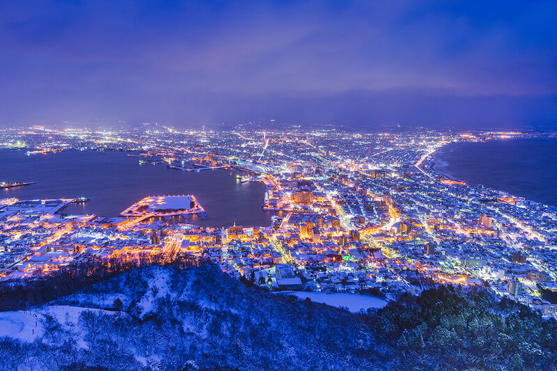 Hakodate's iconic night view from Mount Hakodate — the city's twinkling lights spread across the narrow isthmus at dusk