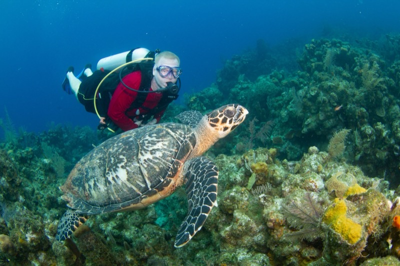 Honduras — ️ Beaches &amp; Diving