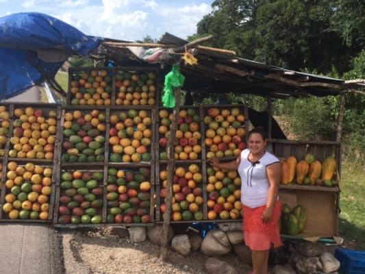 Honduras — Costs &amp; Budget