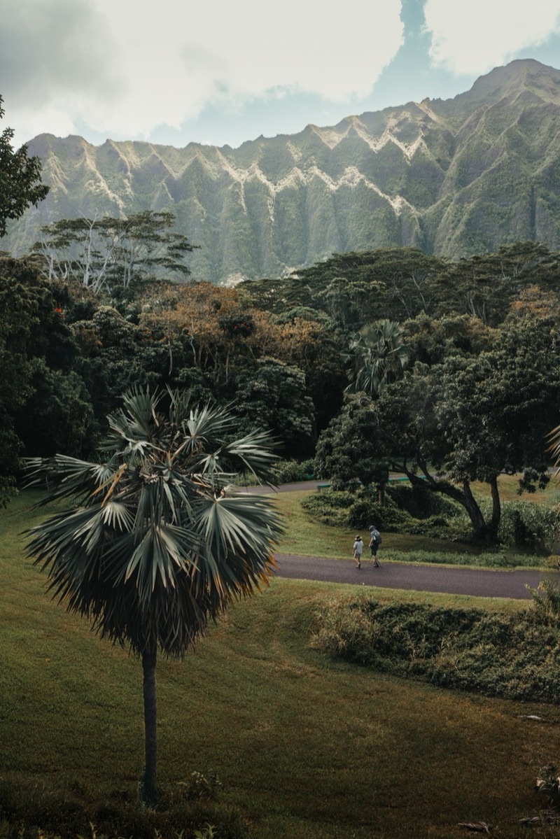 Honolulu travel destination