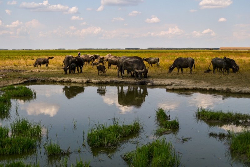 Hungary — ️ Nature &amp; Scenery