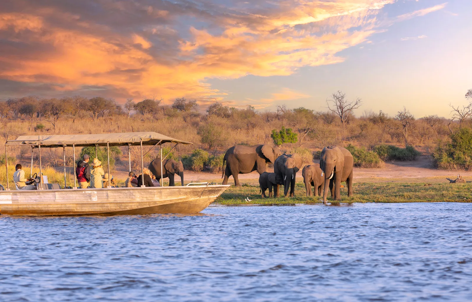Chobe travel destination