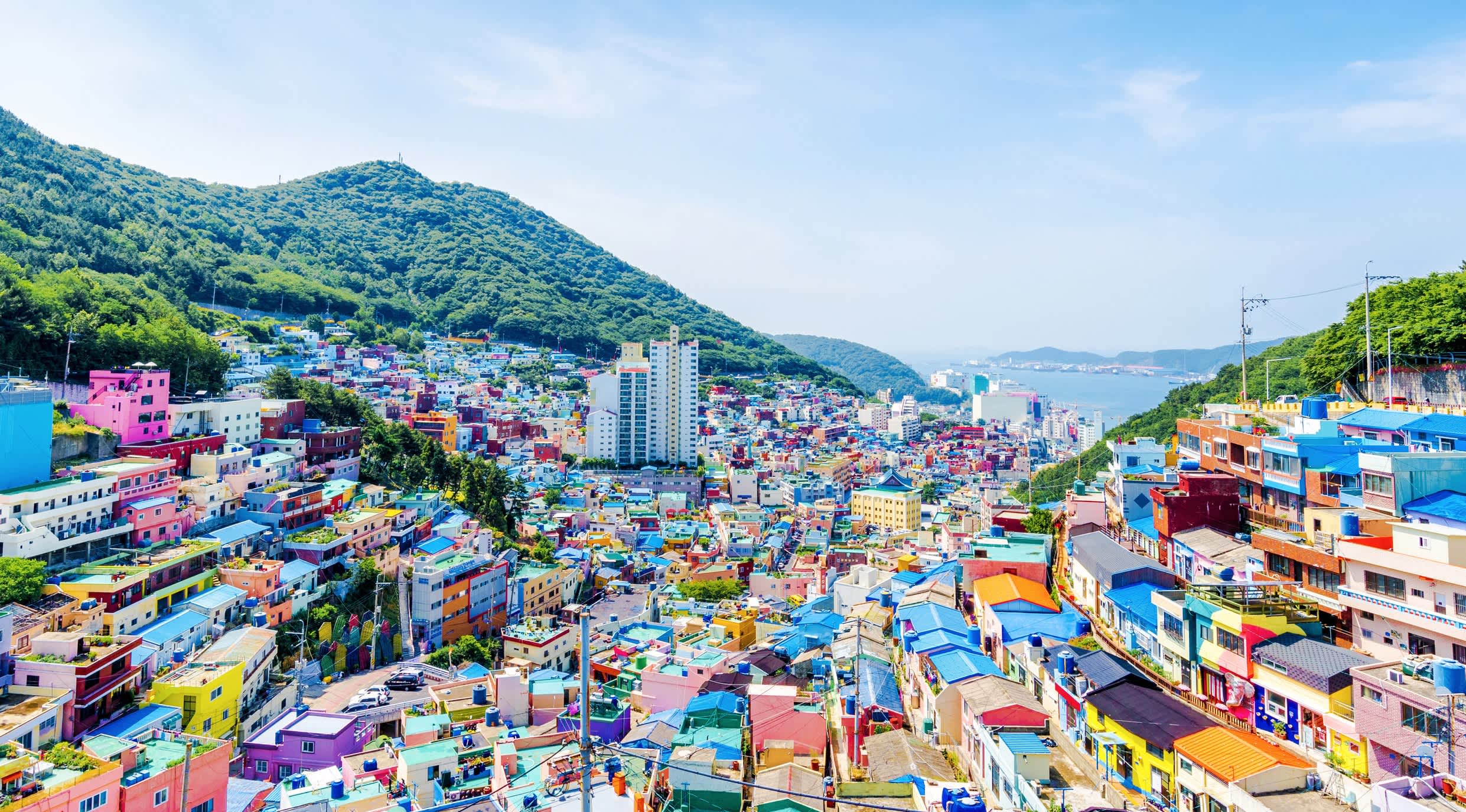 Busan travel destination
